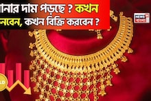Gold Price Falling ? সোনার দাম পড়ছে ? কখন কিনবেন, কখন বিক্রি করবেন, গয়না না কি ETF-এ বিনিয়োগ ? কী বলছেন বিশেষজ্ঞরা