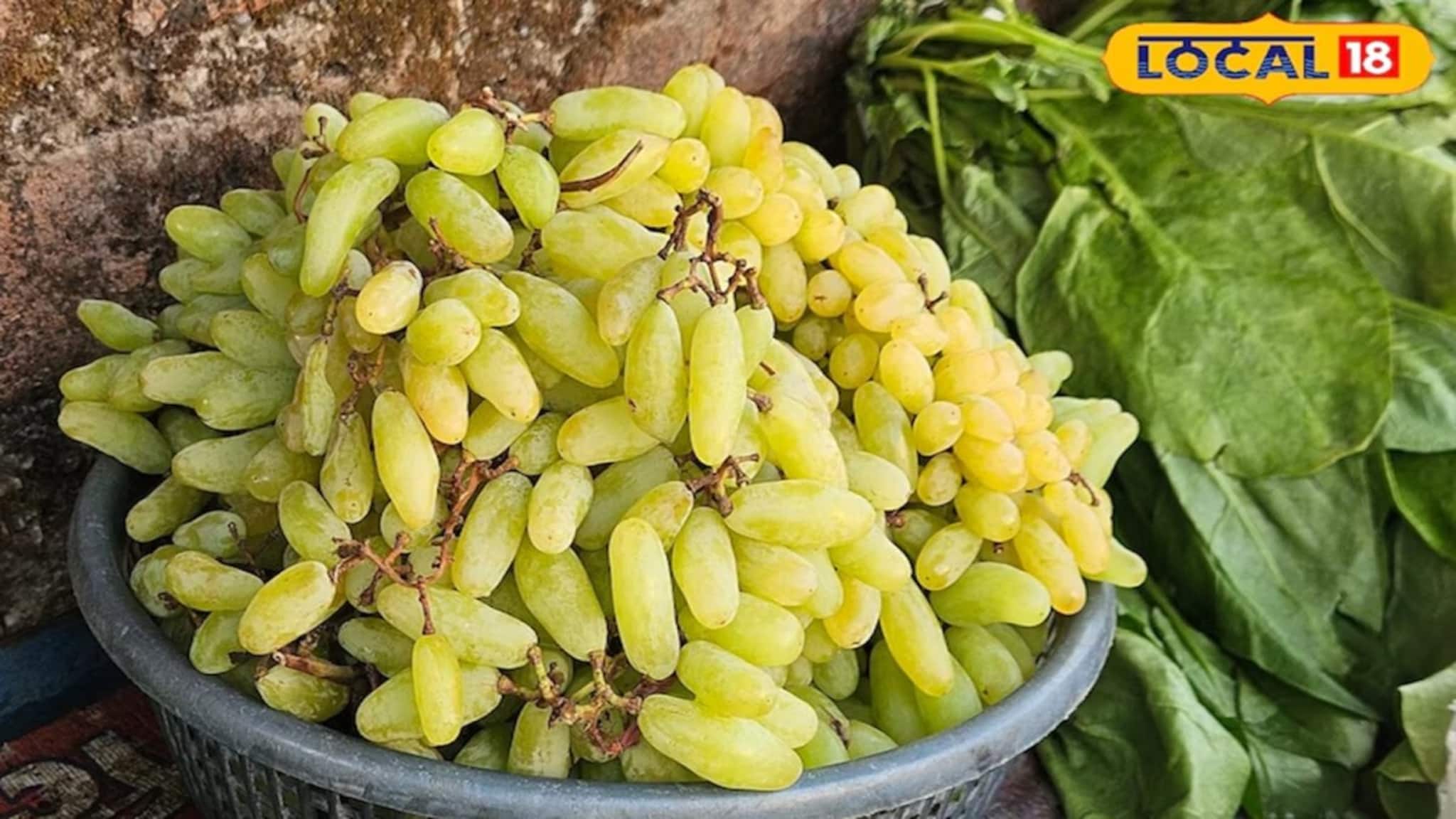 Grapes Cleaning Tips: শুধু জল দিয়ে ধোয়া যথেষ্ট নয়, কীভাবে আঙুর পরিষ্কার করবেন শিখে নিন এখনই