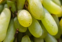 Grape Cleaning Tips: আঙুরের গায়ের সাদা আস্তরণ খুবই 'বিষাক্ত'! শুধু জল দিয়ে ধুলেই হবে না, পরিষ্কার করার সঠিক উপায় জানুন, নচেৎ শরীরের প্রচুর ক্ষতি