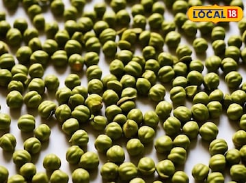 আপনি কি ভেজানো সবুজ ছোলা খান? জটিল রোগ পালাবে! জানুন চিকিৎসকের মতামত আপনি কি ভেজানো সবুজ ছোলা খান? জটিল রোগ পালাবে! জানুন চিকিৎসকের মতামত