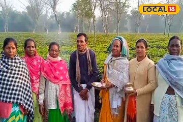 চা শ্রমিকদের জীবনে নতুন আশার আলো! ডুয়ার্সে শুরু ফার্স্ট ফ্লাশ চা পাতা তোলা