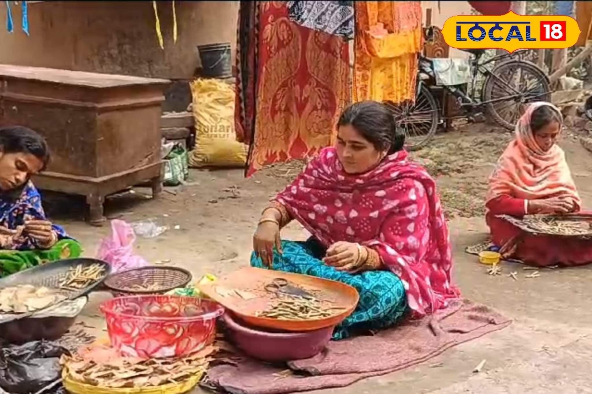 কমে গেল বিড়ি শিল্পে জিএসটি, সুফল কি পাবেন মুর্শিদাবাদের কয়েক লক্ষ বিড়ি শ্রমিক? দাম কমবে?