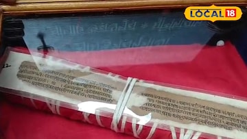 তালপাতার