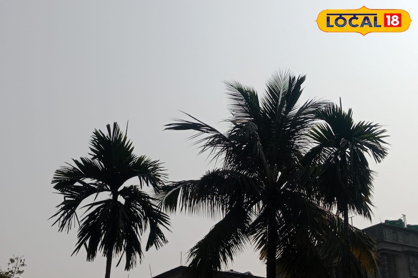 শিলিগুড়ি, ঋত্বিক ভট্টাচার্য : ফেব্রুয়ারির শুরুতেই উত্তরবঙ্গ জুড়ে তাপমাত্রার পারদ ক্রমশ ঊর্ধ্বমুখী। দিনের বেলায় রোদের তেজ বেড়েছে, রাতের শীতও অনেকটাই কমেছে। আবহাওয়ার এই বদলের ফলে শীতের আমেজ প্রায় বিদায় নিতে বসেছে বলেই মত আবহাওয়াবিদদের।