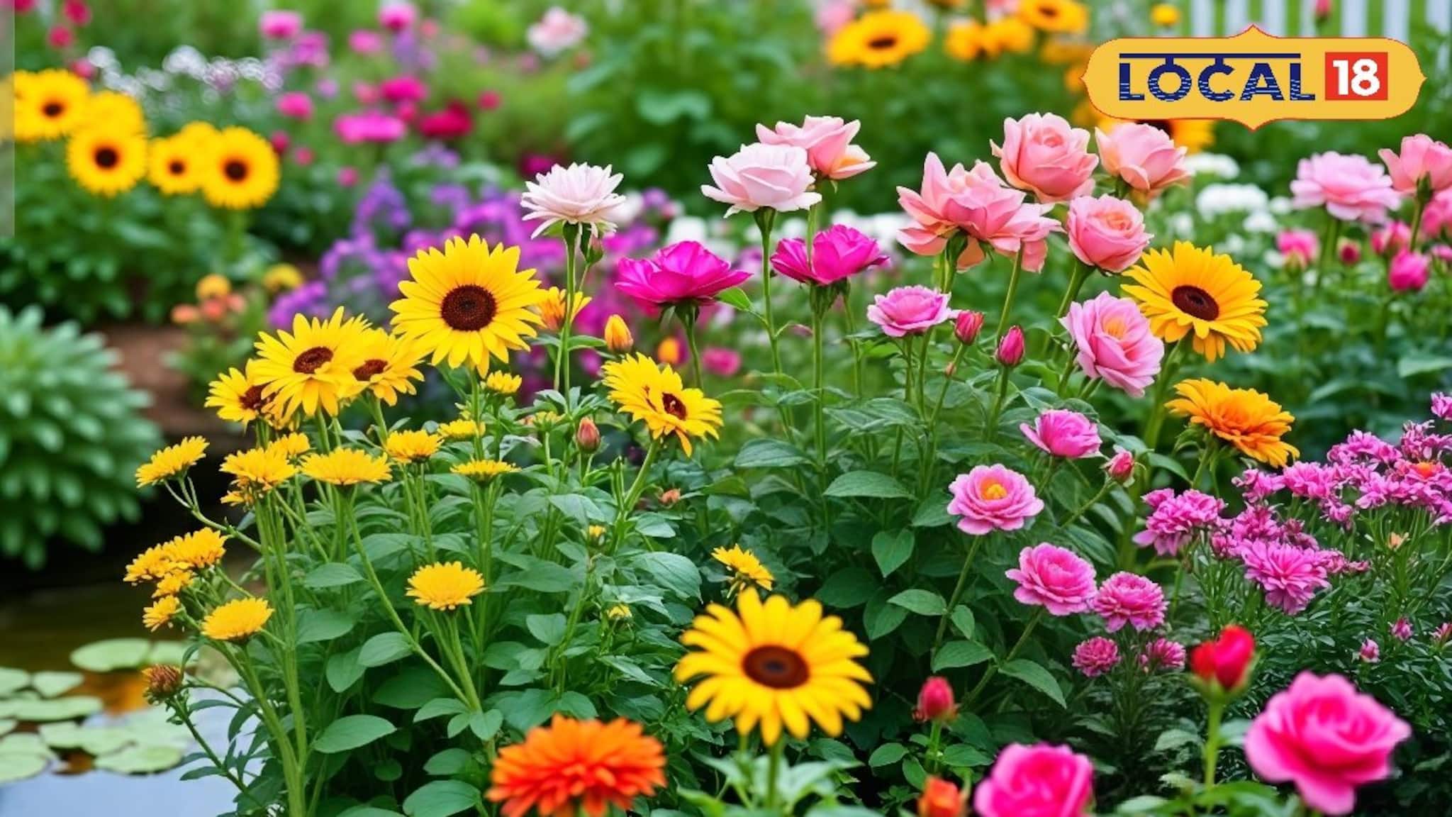 বাগান হবে 'স্বর্গ'...! শীত শেষে এই 'ফুলগাছ' লাগান, ১ মাসেই দেখুন 'ম্যাজিক'!