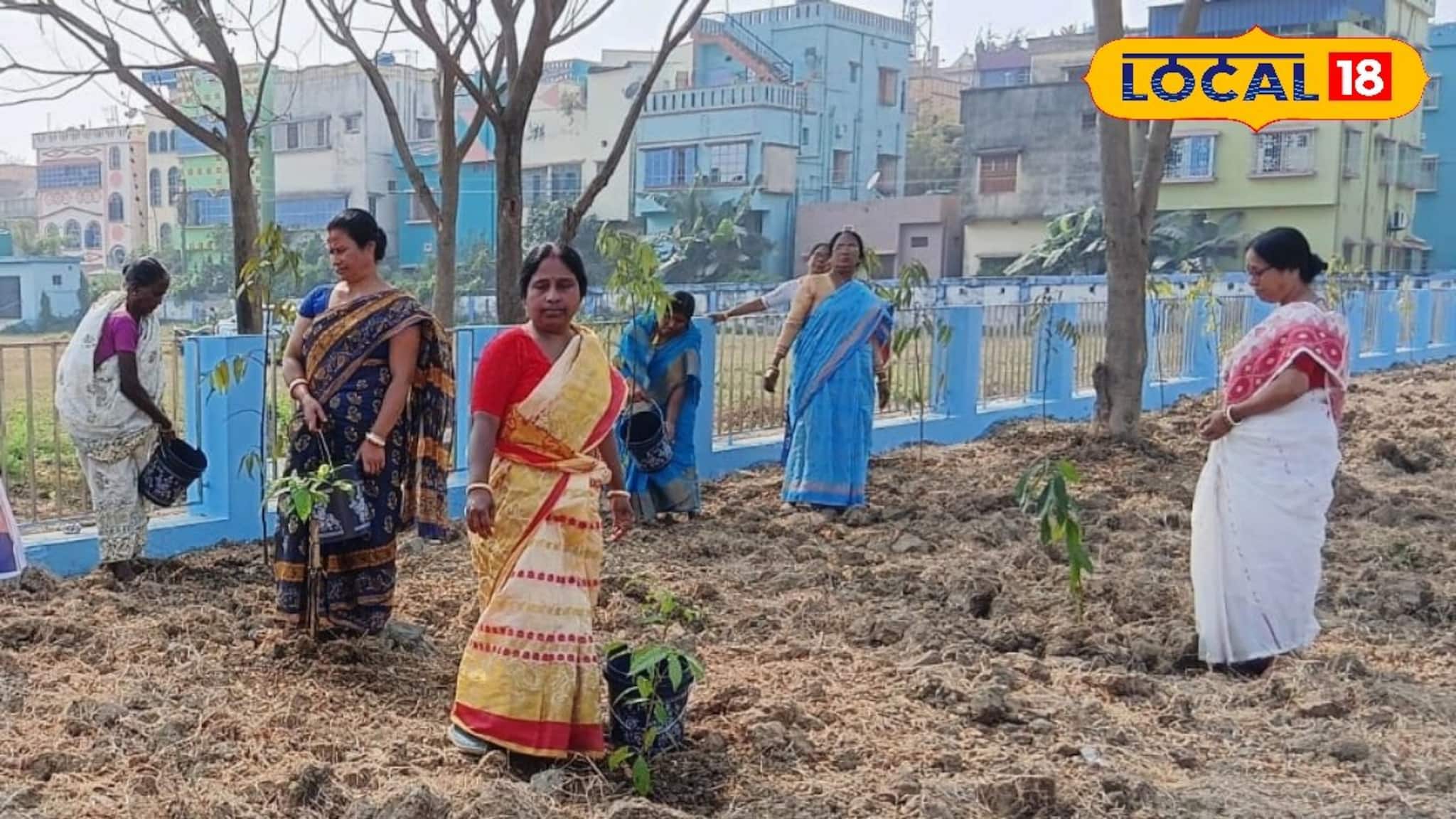 ‘অ্যাপ’-এর মাধ্যমে এবার গাছের পরিচর্যা, কড়া নজরদারি চালাচ্ছে রাজ্য পুর ও নগরোন্নয়ন দফতর