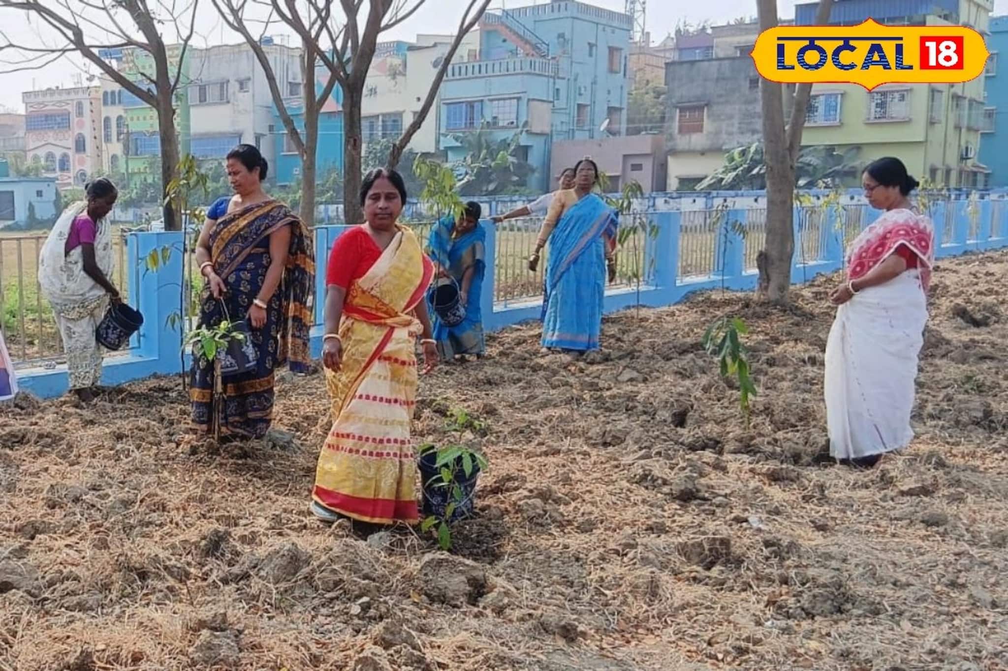 ‘অ্যাপ’-এর মাধ্যমে এবার গাছের পরিচর্যা, কড়া নজরদারি চালাচ্ছে রাজ্য পুর ও নগরোন্নয়ন দফতর