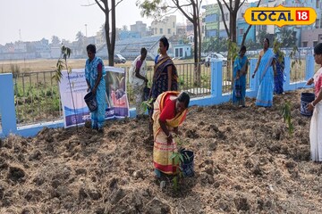‘অ্যাপ’-এর মাধ্যমে এবার গাছের পরিচর্যা, কড়া নজরদারি চালাচ্ছে রাজ্য পুর ও নগরোন্নয়ন দফতর