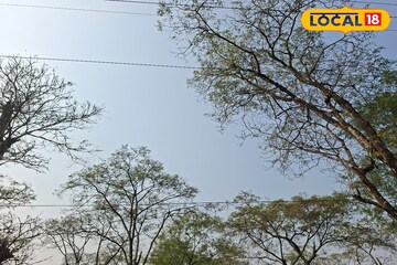 দার্জিলিং যাওয়ার প্ল্যান? শীতের বিদায়ঘণ্টা উত্তরবঙ্গে! পাহাড়ে রাতের বেলা কেমন ঠান্ডা?