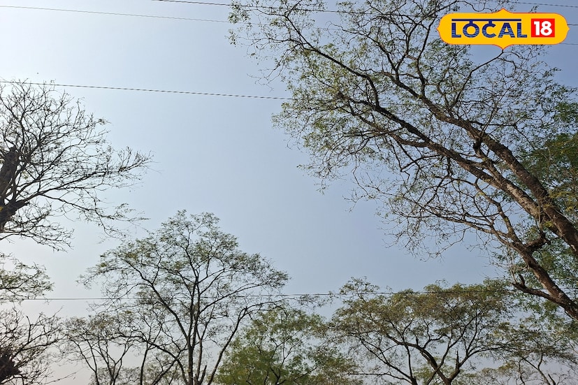 শিলিগুড়ি, ঋত্বিক ভট্টাচার্য : উত্তরবঙ্গে শীতের রেশ কাটিয়ে ধীরে ধীরে বদলাচ্ছে আবহাওয়ার চরিত্র। ফেব্রুয়ারির শুরুতেই দিনের বেলায় উষ্ণতার অনুভূতি বাড়তে শুরু করেছে বিভিন্ন জেলায়। সকালের হালকা শীত থাকলেও বেলা বাড়তেই রোদের তেজে স্বস্তির বদলে গরমের আভাস পাচ্ছেন সাধারণ মানুষ।