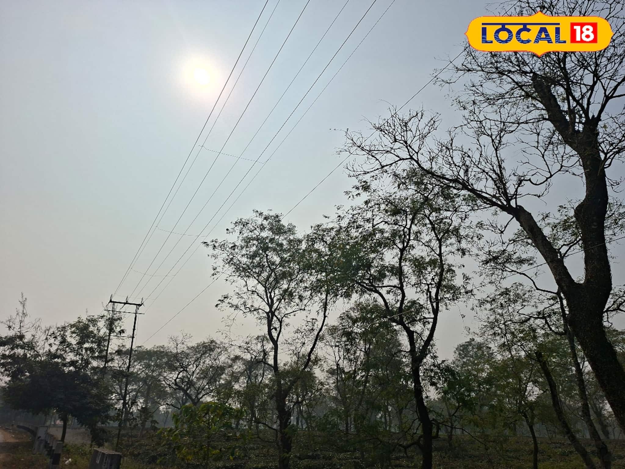 দার্জিলিং যাওয়ার প্ল্যান? শীতের বিদায়ঘণ্টা উত্তরবঙ্গে! পাহাড়ে রাতের বেলা কেমন ঠান্ডা?