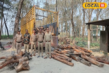 ট্রাকে করে মূল্যবান খয়ের কাঠ পাচার! রাতভর অভিযান চালিয়ে বাজেয়াপ্ত সব ট্রাকে করে মূল্যবান খয়ের কাঠ পাচার! রাতভর অভিযান চালিয়ে বাজেয়াপ্ত সব
