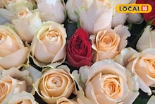 Valentines Week: শনিবার থেকেই শুরু 'প্রেমের মরশুম', কাজেই গোলাপ মাস্ট! কোন রং-এর গোলাপের কী মানে? বাজারে দামই বা কত? জেনে নিন