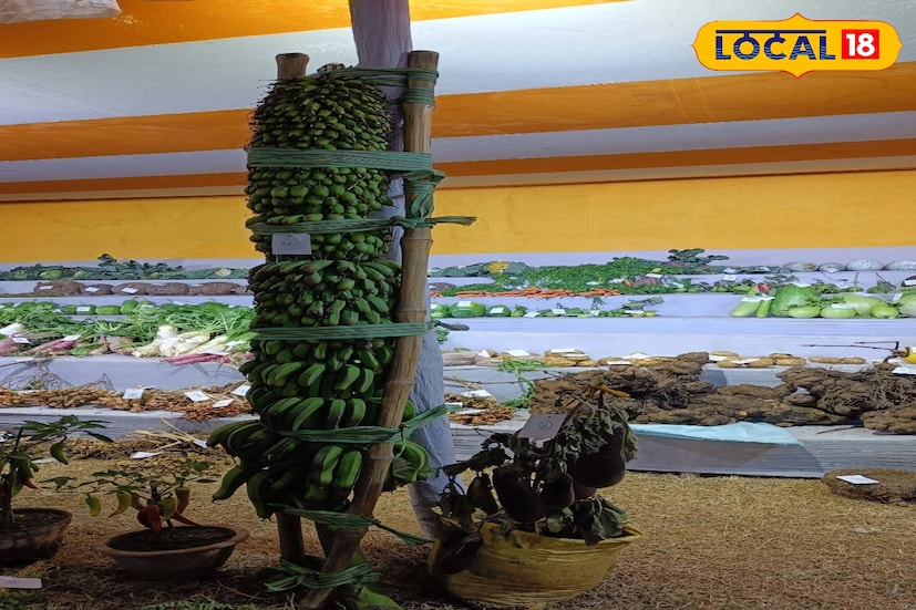 এইদিন থেকে প্রথা মেনে শুরু হয়ে গেল শুরু হয়ে গেল শ্রীনিকেতন মাঘমেলা। মেলার বিশেষ আকর্ষণে প্রতিবারই থাকে সবজির এক্সিবিশন। এই এক্সিবিশনে এবার বিশেষ আকর্ষণ প্রায় ৮ ফুটের একটি কলার কাঁদি। এই মেলার উদ্বোধন করেন বিশ্বভারতীর উপাচার্য অধ্যাপক প্রবীর কুমার ঘোষ। বিশ্ব বরেণ্য কবি রবীন্দ্রনাথ ঠাকুর তাঁর জীবনের যে দুটি সাধনার কথা জানিয়েছেন, তার একটি শান্তিনিকেতন, অন্যটি শ্রীনিকেতন। (ছবি ও তথ্য: সৌভিক রায়)