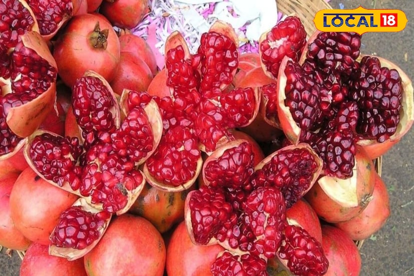 উত্তর ২৪ পরগনা, রুদ্র নারায়ণ রায়: বেদানার গুণের কথা তো সবার জানা, কিন্তু জানেন কি এর খোসাও কিন্তু পুষ্টিগুণে কম নয়। ফলের মতো তার খোসাও পুষ্টি গুণে ঠাসা। অসুস্থ শরীরে নতুন করে স্ফূর্তি, এনার্জি ফেরাতে বেদানার জুড়ি নেই। একে বলা হয় রক্ত বাড়ানোর মেশিন। ডায়াবেটিস থেকে কোলেস্টেরল রাখে নিয়ন্ত্রণে। তেমনই বেদানার খোসার গুণ জানলে চমকে উঠবেন। পরের বার বেদানা ছাড়িয়ে খোসা ডাস্টবিনে না ফেলে রাখবেন আপনার পাতেই