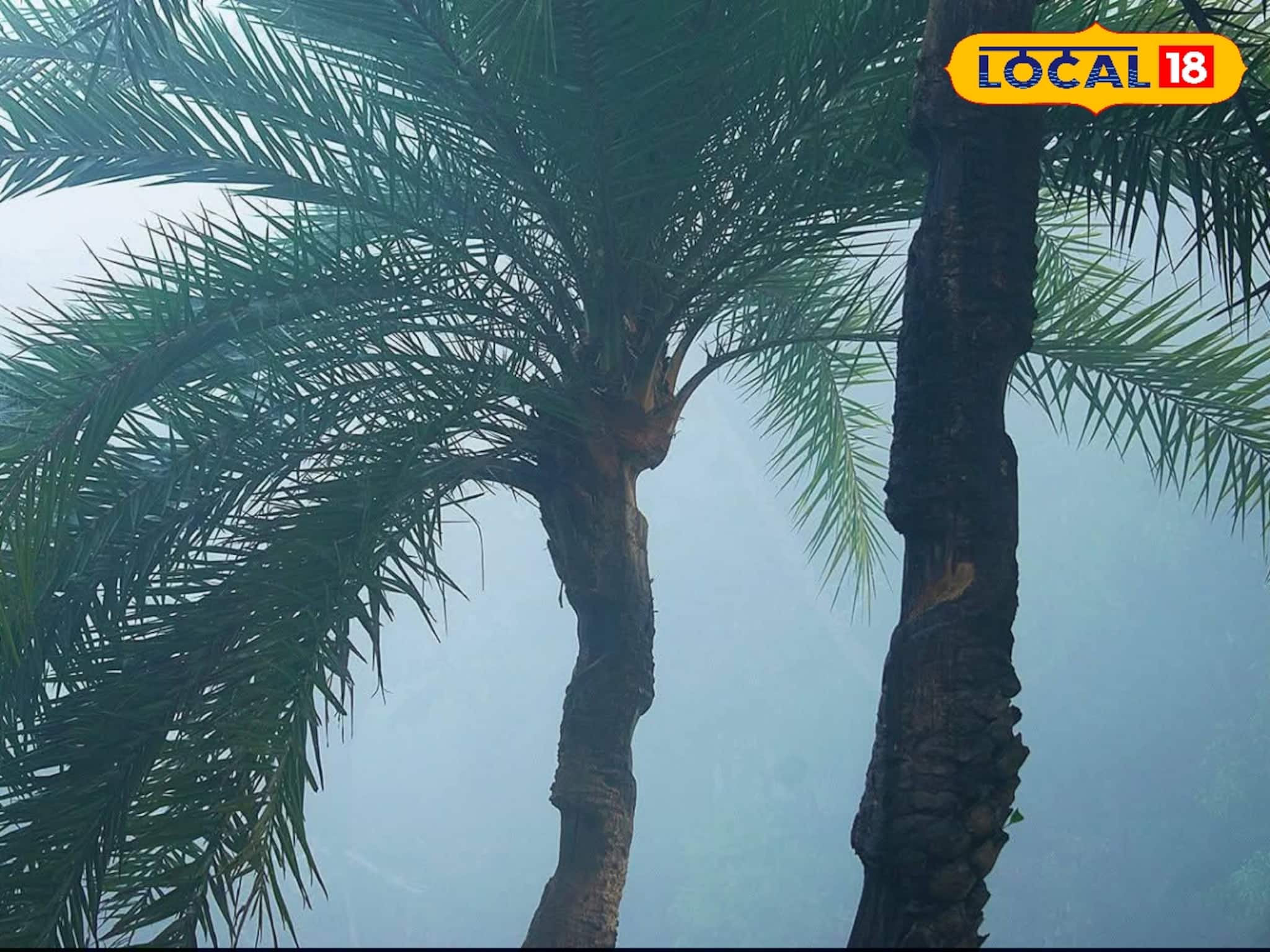 আরও নামবে তাপমাত্রা! ফেব্রুয়ারিতে শীতের কামব্যাক ইনিংস, আবহাওয়ার লেটেস্ট আপডেট এক ক্লিকে