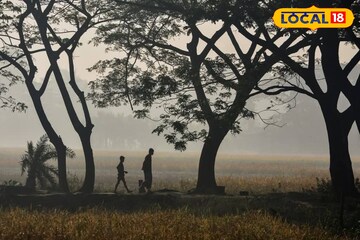 আরও নামবে তাপমাত্রা! ফেব্রুয়ারিতে শীতের কামব্যাক ইনিংস, আবহাওয়ার লেটেস্ট আপডেট এক ক্লিকে