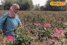 Rose Plantation: ভ্যালেন্টাইন্স ডে-র আগেই চড়া দাম! এক পিস তাজা লাল গোলাপ কত দামে বিক্রি হচ্ছে? জানুন