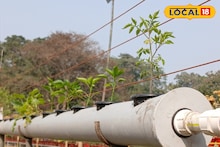 Gardening Tips: শহরেও বাড়ির ছাদে মাটি ছাড়াই ফলবে টাটকা, তাজা শাক-সবজি, ফল! কীভাবে জানাচ্ছেন বাগান বিশেষজ্ঞ