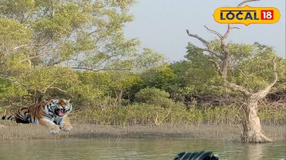 সুন্দরবন