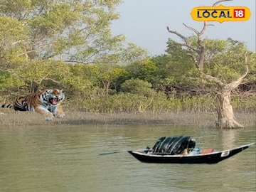 সুন্দরবন