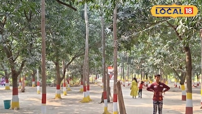 পিকনিক স্পট