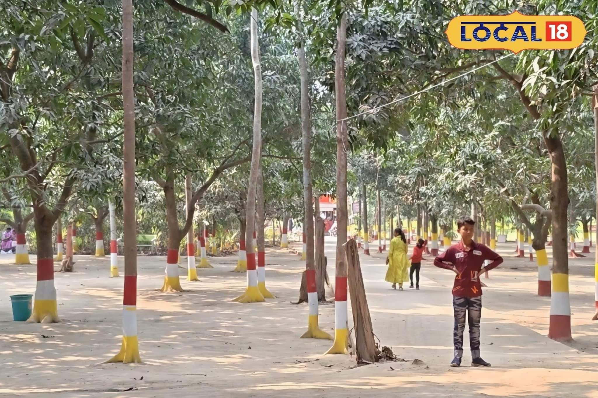 মৃদু রোদ, পাখির ডাক আর সবুজে ঘেরা নিরিবিলি পরিবেশে অন্তরঙ্গ মুহূর্ত কাটাতে আসুন ঘোষবাড়িতে