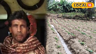 সেতাবুল শেখ