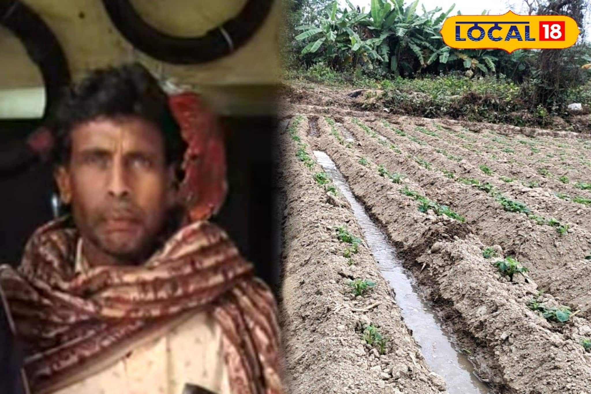 চাষ জমিতে কাজ করার সময় প্রেম! ভয়ঙ্কর ঘটনায় সব শেষ চাষির! গ্রেফতার প্রেমিকা