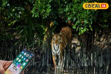 Sundarban : সুন্দরবন ঘুরতে যান যাঁরা, তাঁদের জন্য বড় খবর! সব জায়গায় আর ব্যবহার করা যাবে না মোবাইল! নতুন নির্দেশিকা