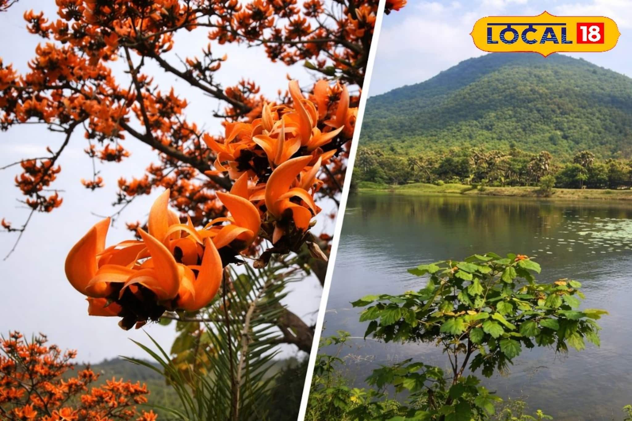 শুশুনিয়া পাহাড়ের লাল পলাশ দেখতে চান? এবার যাতায়াত হবে আরও সহজ ও মসৃণ