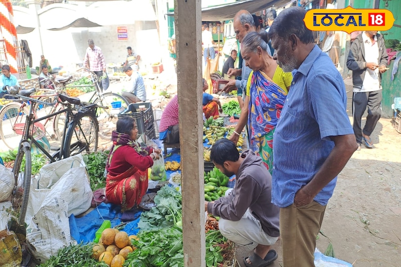 শীত তো বিদায়ের পথে, তবে অগ্নিমূল্য বাজার দর কি বিদায় নিয়েছে? কেমন রয়েছে জলপাইগুড়ির বাজার। এদিন খোঁজ নিয়ে দেখা গেল শীতের বিদায়ের সঙ্গে সঙ্গেই স্বস্তি ফিরেছে বাজারে। সবজির দামে বড়সড় পতন জলপাইগুড়িতে। 