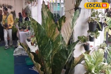 দাম ১ লক্ষ ২৫ হাজার!  পুষ্প প্রদর্শনীতে নজর কাড়ছে ইন্দোনেশিয়ার অ্যান্থেরিয়াম পিঙ্ক হুকারি