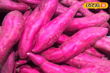 পুষ্টিতে ভরপুর, করে না শরীরের ক্ষতি, রাঙা আলু দিয়ে ঝটপট বানান মুখরোচক রেসিপি