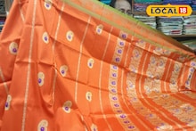 GI Tag: খুশির খবর! এবার জিআই ট্যাগ পেতে চলেছে মহিলাদের পছন্দের 'মুর্শিদাবাদ সিল্ক' 