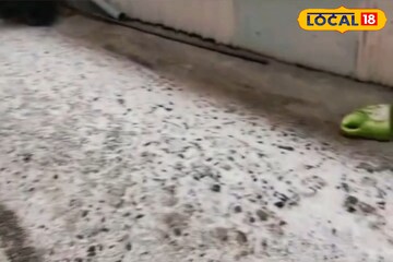 উত্তর সিকিমে প্রবল তুষারপাত! ‘হোয়াইট ড্রিম’-এর সাক্ষী হতে পর্যটকদের উপচে পড়া ভিড়