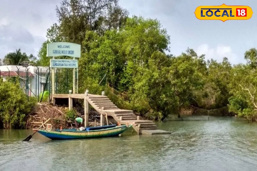 সুন্দরবনের সবুজ রহস্য আর দ্বীপের মধ্যে থাকার রোমাঞ্চ যদি অনুভব করতে চান, তাহলে আপনার গন্তব্য হোক পাখিরালয় পৃথিবীর বৃহত্তম ম্যানগ্রোভ অরণ্য সুন্দরবন। আর এই সুন্দরবনের জীববৈচিত্র্য উপভোগ করতে বছরজুড়েই পর্যটকদের আসা-যাওয়া থাকে। (তথ্য ছবি সুমন সাহা)