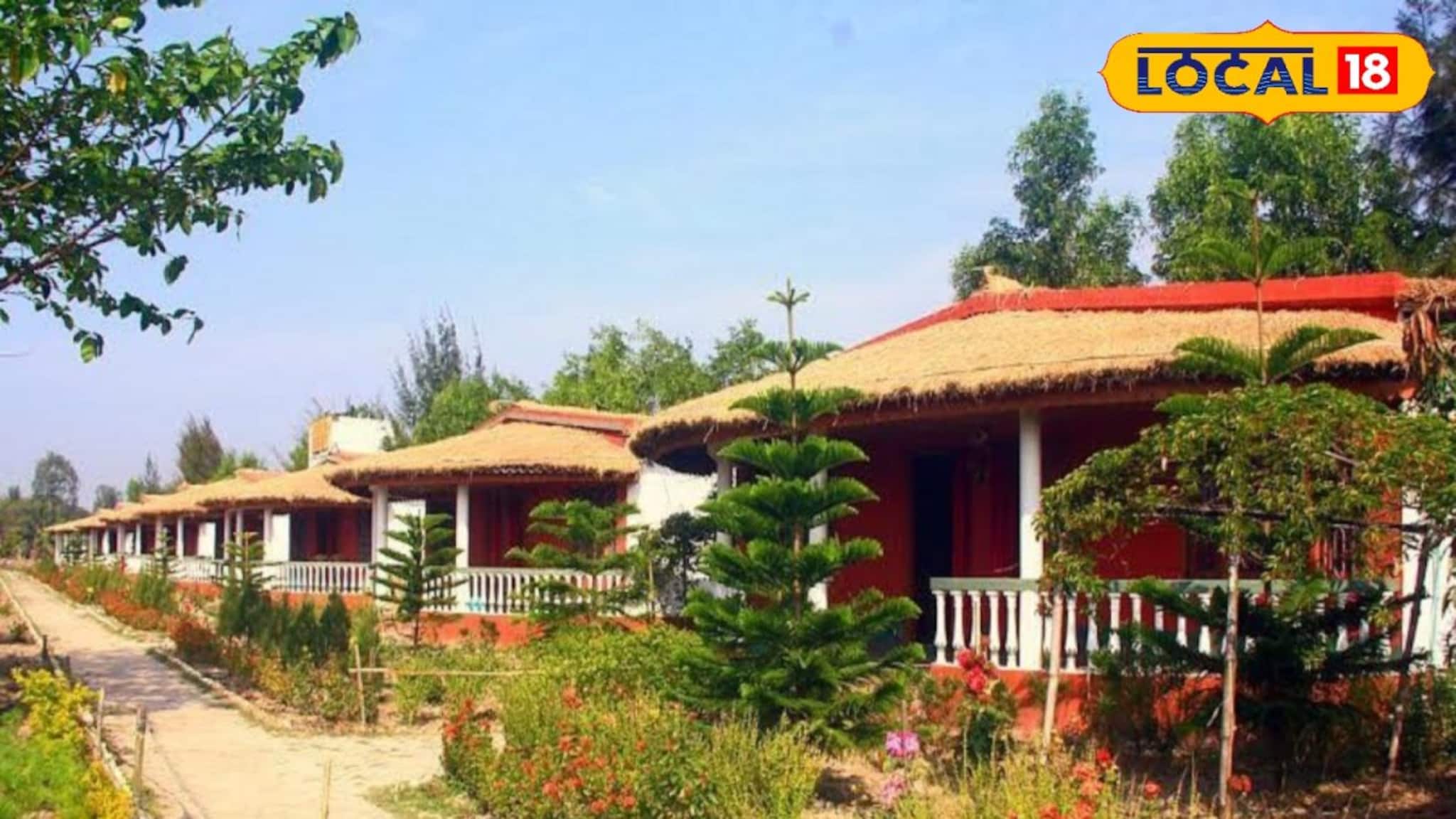 Weekend Trip: কলকাতা থেকে ঢিল ছোড়া দূরত্বে বাঘের ডেরা! অল্প খরচে ঘুরে আসুন সুন্দরবনের এই অপূর্ব দ্বীপ, রোমাঞ্চপ্রিয় পর্যটকদের প্রথম পছন্দ