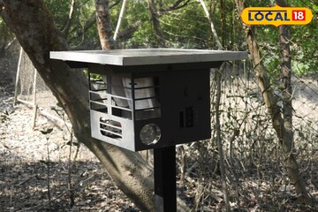 বাঘের উপদ্রব রুখতে সুন্দরবনে বসল অত্যাধুনিক সৌরচালিত ডিভাইস, চারপেয়ের নির্ভুল শনাক্তকরণ