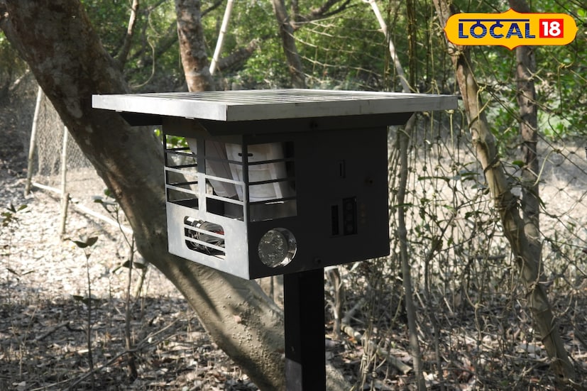 সুন্দরবনে মানুষ ও বাঘের মধ্যে সংঘাত নিরসনের লক্ষ্যে উল্লেখযোগ্য পদক্ষেপ। ওয়াইল্ডলাইফ ট্রাস্ট অব ইন্ডিয়া (WTI), পশ্চিমবঙ্গের দক্ষিণ ২৪ পরগনা বন বিভাগের যৌথ উদ্যোগে রায়দিঘি রেঞ্জে অ্যানিমাল ইনট্রুশন ডিটেকশন অ্যান্ড রিপেলেন্ট সিস্টেম (ANIDERS) স্থাপন করা হল। (তথ্য ছবি সুমন সাহা)