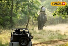 Dooars Jungle Safari: ডুয়ার্সে জঙ্গল সাফারির সময় কী করবেন? কোন কাজে ধেয়ে আসবে বিপদ? যাওয়ার আগে জানতেই হবে