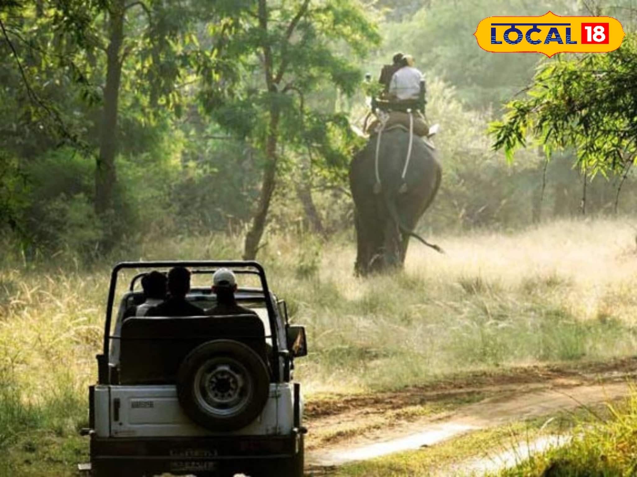 ডুয়ার্সে যাচ্ছেন? ছোট্ট মাথায় রেখে বেড়াবেন তাহলে বিপদ খুব কম আসবে