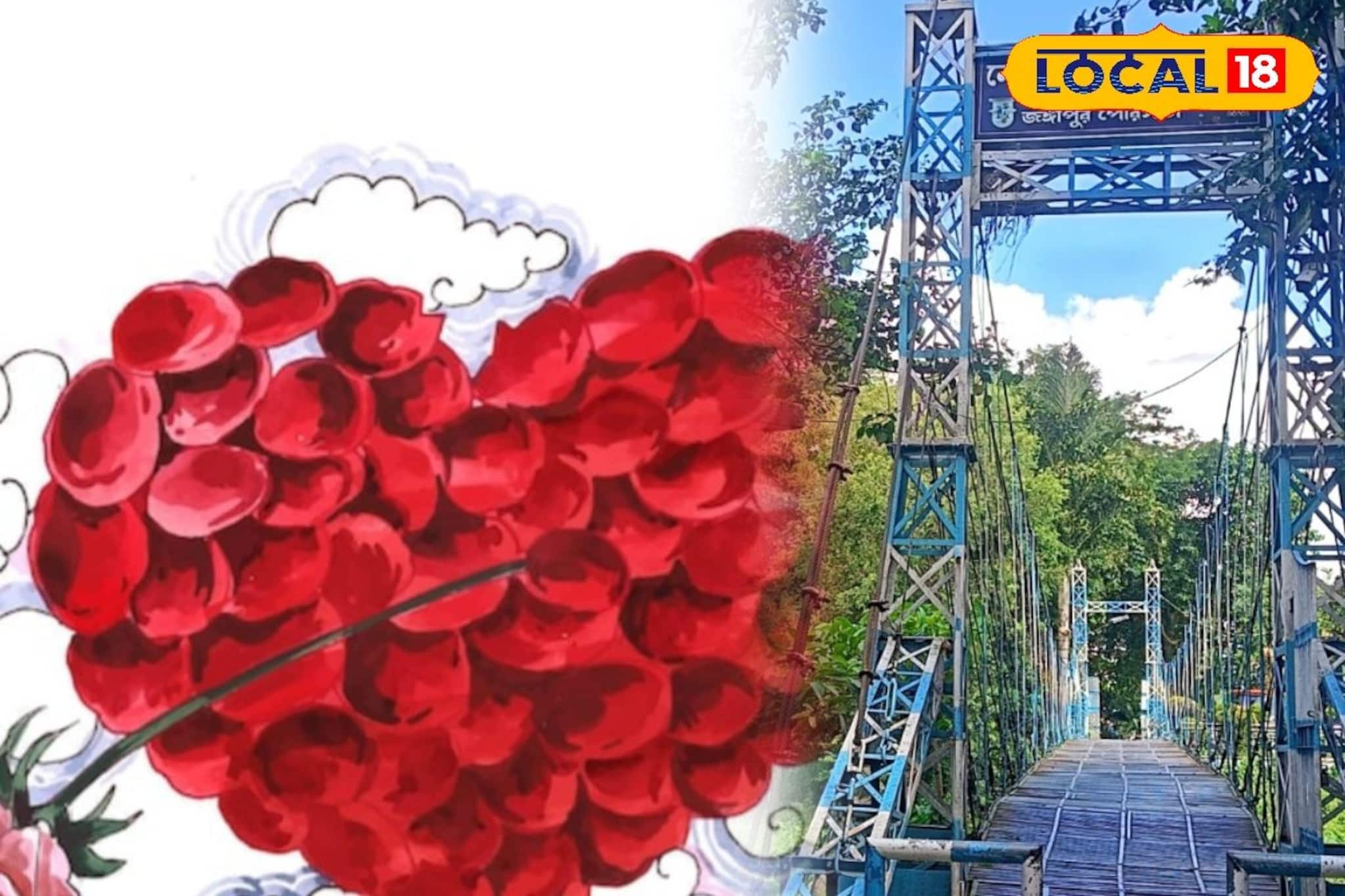 প্রেমদিবসে একান্তে-নির্জনে কাপলদের সময় কাটানোর সেরা এই পার্ক, কেমন করে যাবেন রইল সন্ধান প্রেমদিবসে একান্তে-নির্জনে কাপলদের সময় কাটানোর সেরা এই পার্ক, কেমন করে যাবেন রইল সন্ধান