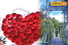 Vallentine Day Park: প্রেমদিবসে একান্তে -নির্জনে কাপলদের সময় কাটানোর সেরা এই পার্ক, কেমন করে যাবেন রইল সুলুকসন্ধান