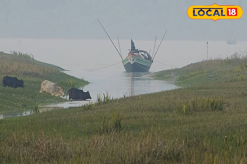 সকালে কুয়াশার দাপট, বেলা বাড়লেই বাড়বে তাপমাত্রা। সূর্য ধরলেই আবারও শীতের অনুভূতি। তাপমাত্রার এই উঠানামার খেলা চলবে আগামী কয়েক দিন। শীত বিদায় হয়েও হল না বিদায় ফেব্রুয়ারির তৃতীয় সপ্তাহ পর্যন্ত এমনই থাকবে আবহাওয়া। (ছবি ও তথ্য সৈকত শী)
