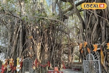 Birbhum News: কোলাহল থেকে দূরে এক টুকরো শান্তি! বীরভূমের রসা গ্রামে জাগ্রত অনাদিকা‌লী মন্দিরের মাহাত্ম্য জানলে অবাক হবেন