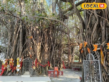 অনাদিকা‌লী