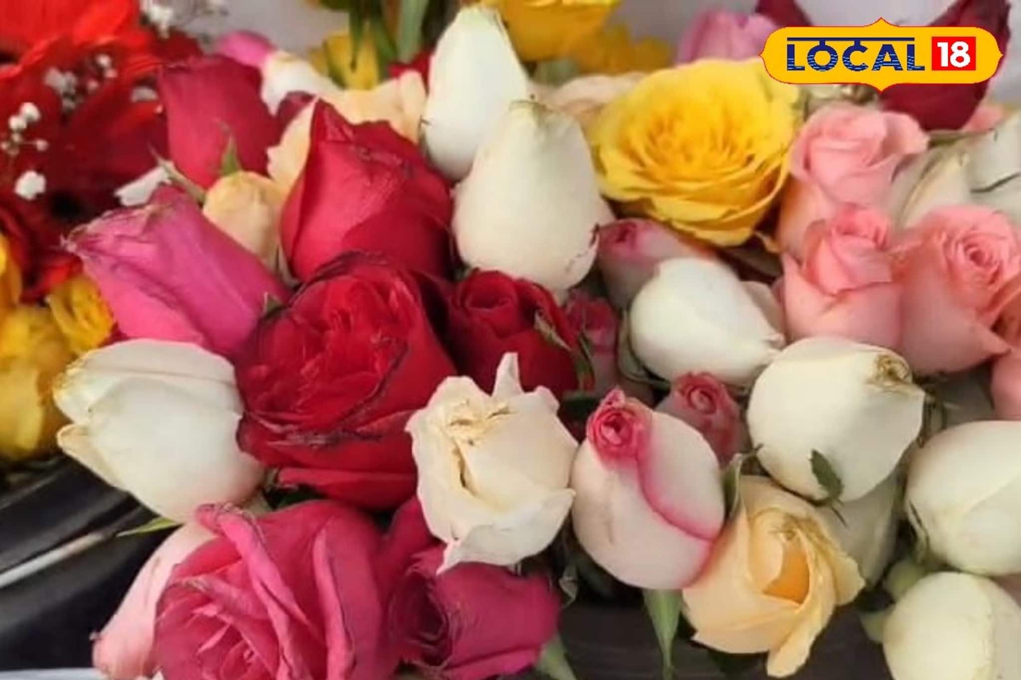 ভ্যালেন্টাইন্স ডে-তে দিন এই ডাচ গোলাপ, ১০ দিন পরও থাকবে সতেজ ও সুগন্ধ ভ্যালেন্টাইন্স ডে-তে দিন এই ডাচ গোলাপ, ১০ দিন পরও থাকবে সতেজ ও সুগন্ধ