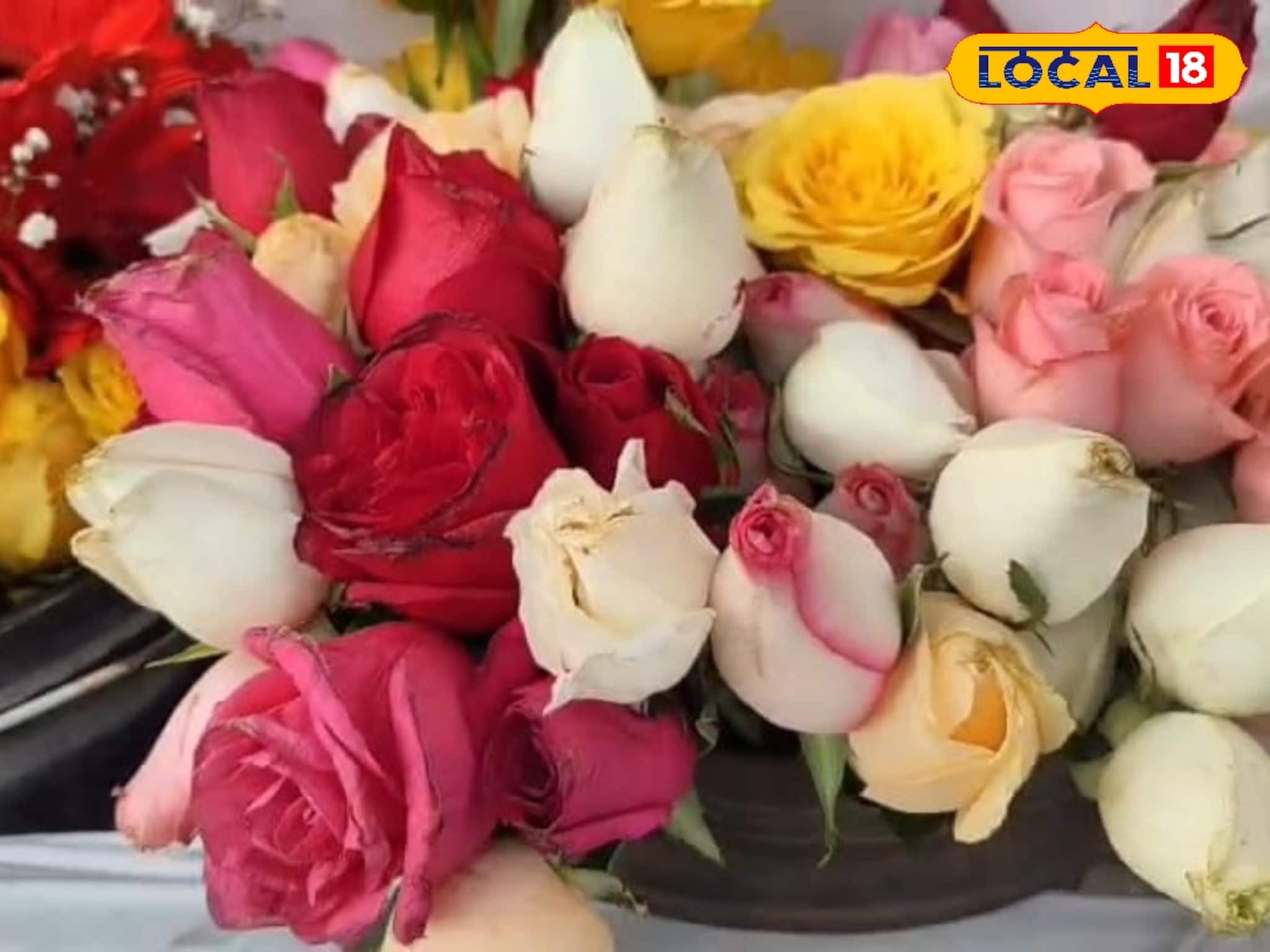 ভ্যালেন্টাইন্স ডে-তে দিন এই ডাচ গোলাপ, ১০ দিন পরও থাকবে সতেজ ও সুগন্ধ