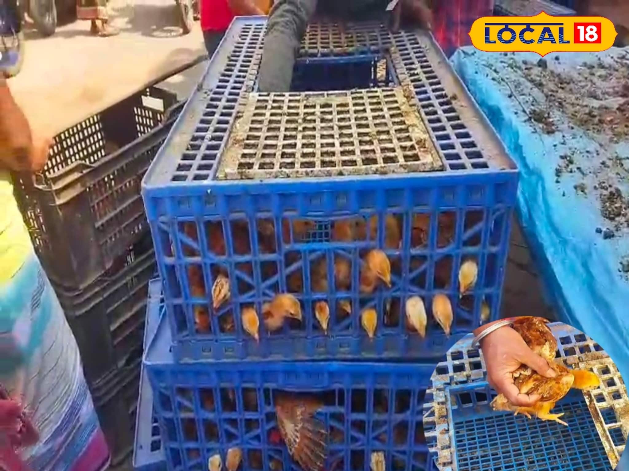 প্রাণী সম্পদ বিকাশ দফতরের সহায়তায় কর্মসংস্থানের দিশা জেলার বেকারদের প্রাণী সম্পদ বিকাশ দফতরের সহায়তায় কর্মসংস্থানের দিশা জেলার বেকারদের